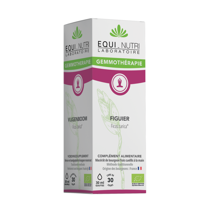 FIGUIER* 30ml