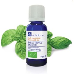 HE BASILIC TROPICAL BIO