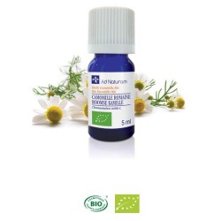 HE CAMOMILLE ROMAINE BIO