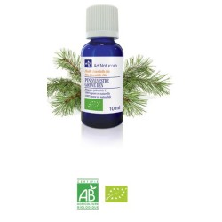 HE PIN SYLVESTRE BIO