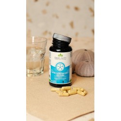 N°29 COENZYME Q10 - LECITHINE