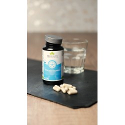 N°5 GLUCO-CHONDRO