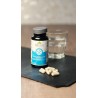 N°10 CAPITAL SUCRE